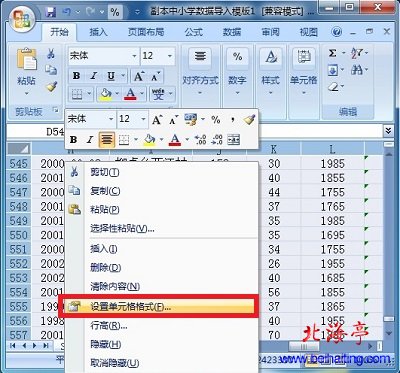 Excel文档打印没有表格只有文本内容怎么办(2007以上)--全选后右键菜单
