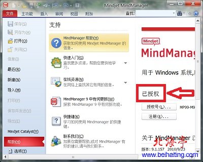 简体中文版Mindmanager9下载:专业的思维导图制作软件---软件截图