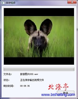 如何给视频添加音乐---ACDsee14保存视频对话框