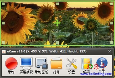 免费屏幕录像软件下载(oCam_v19.0简体中文版)---软件界面