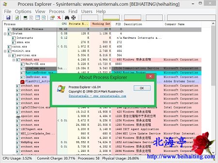 Process Explorer下载(v_16.04原procexp英文原版及简体中文)