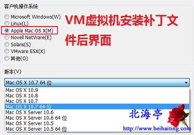 VM虚拟机安装MAC系统工具下载(Mac OS X unlock all_v130)---安装后效果截图