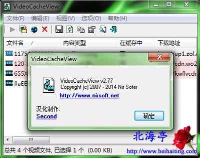 IE视频缓存文件提取器下载(VideoCacheView_v2.7.7中文版)