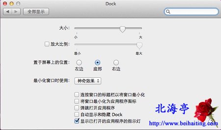 Mac电脑Dock是什么意思,Dock怎么用---Dock设置界面