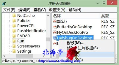 开机启动项中出现LadybugOnDesktop是怎么回事---注册表编辑器右键菜单