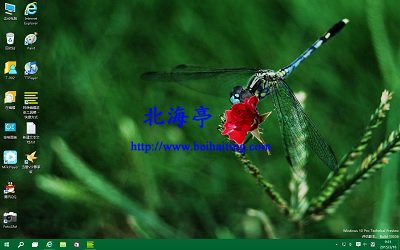 绿色护眼昆虫电脑主题包下载(适于Win7/Win8/Win10) 
