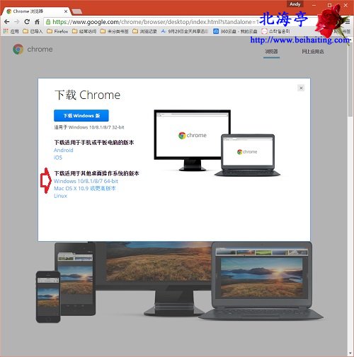怎么在谷歌官网下载Chrome浏览器离线安装包---Chrome其他版本