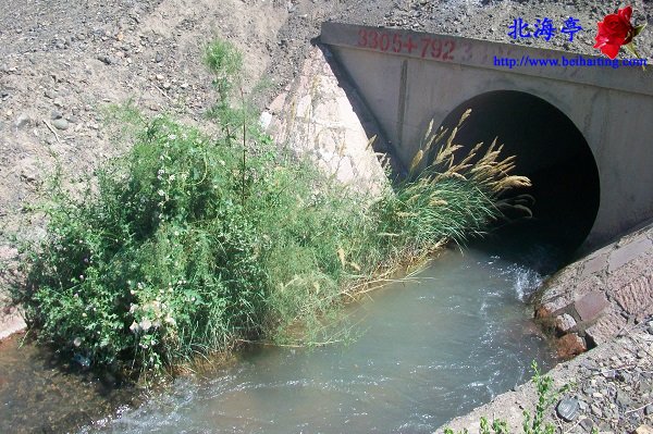 河北骑行新疆日记(一碗泉至鄯善县)---清水沟渠