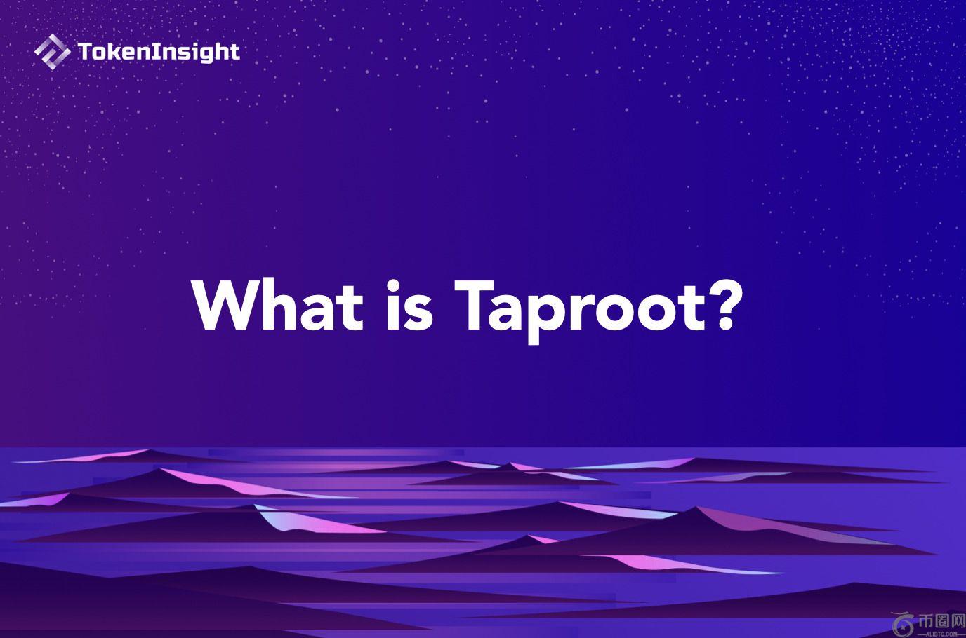 什么是Taproot?Taproot升级给比特币带来了哪些好处?