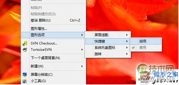 windows 7屏蔽ctrl+alt+up/down快捷键的方法