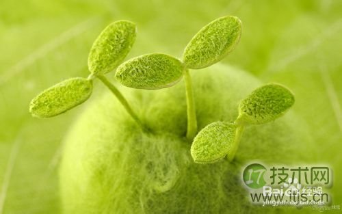 如何将windows 7系统窗口背景颜色设置为护眼色?