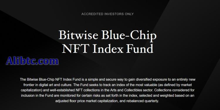 Bitwise推出蓝筹NFT指数基金！追踪、买入NFT领域著名项目