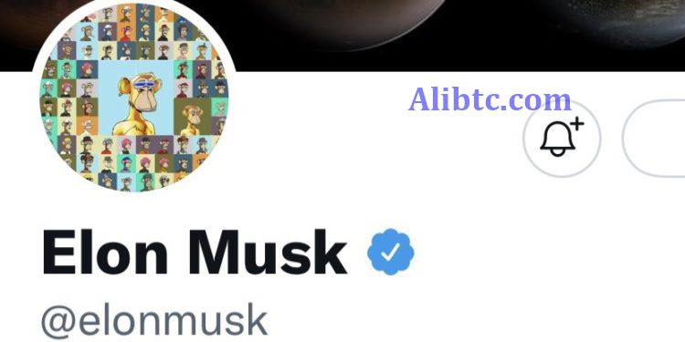 马斯克换BAYC头像、嘲讽NFT可被替代！APE涨超20%后跌14%