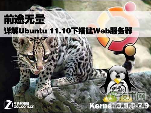 Ubuntu 11.0下配置Web服务器详细教程[ 图文]