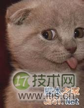 windows 7开机动画如何更换?