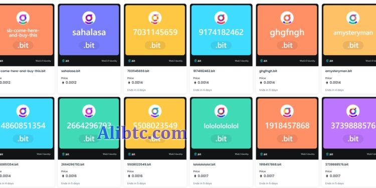 .bit成OpenSea推荐域名 慢雾科技创始人今申领.bit域名