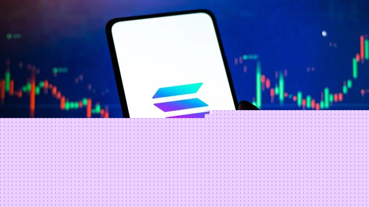 Solana狠甩FTX暴雷阴霾:NFT项目Bonk爆红 激励SOL飙涨20%