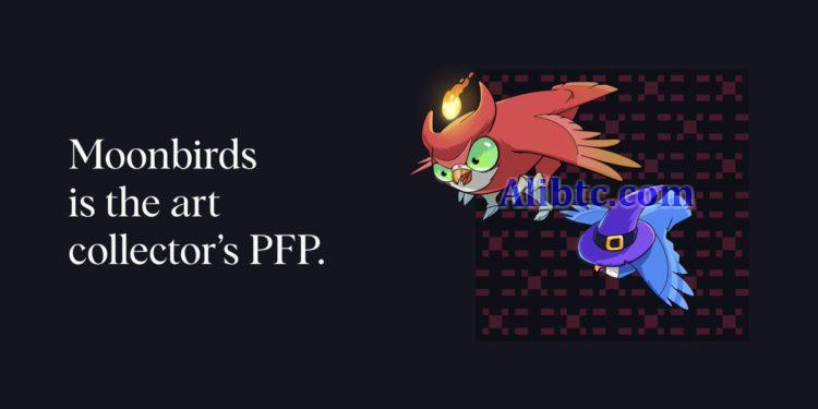 PROOF持有者将转为Moonbirds Elders!未来将推生态代币