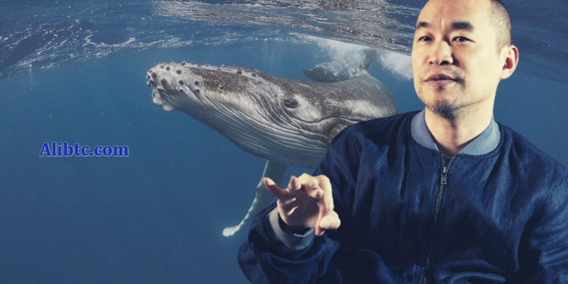 黄立成抛售44只BAYC、15只MAYC、3只AZUKI!CREAM飙涨68%