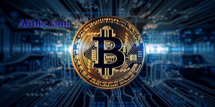 Ordinals创始人提案比特币NFT元数据简单化!将支持SEO再启狂潮?