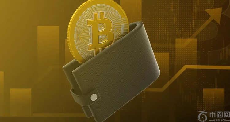 虚拟币电子钱包是什么意思?虚拟币电子钱包哪个好?