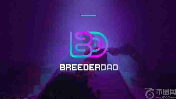 BREED是什么币种？BREED币怎么样？