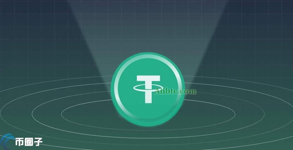 支持USDT购物的平台有哪些?