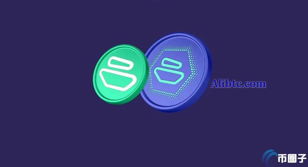 ZBCN币属于什么赛道？建议买吗？