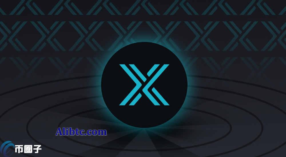 未来IMX币会涨到100美元吗?