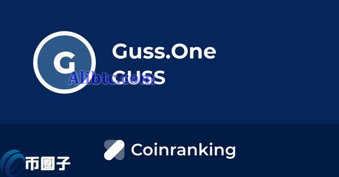 GUSS是什么币种？GUSS币怎么样？