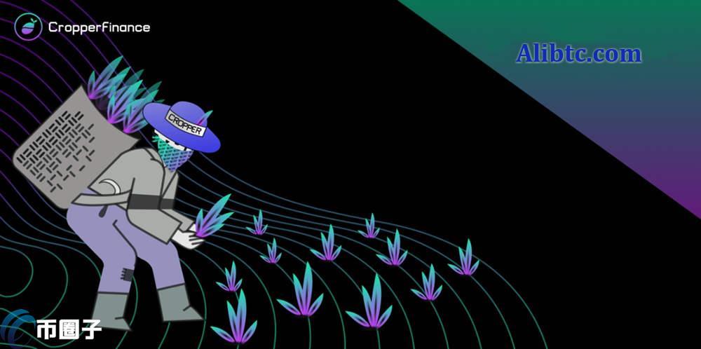 CRP币有价值吗？能涨到多少？