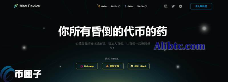 MAXR币发行价格和发行总量是多少？