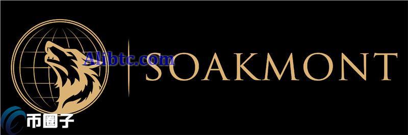 SOAK币总量多少？SOAK币发行总量介绍