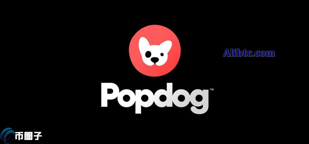 POPDOGE是什么币种？POPDOGE币全面介绍
