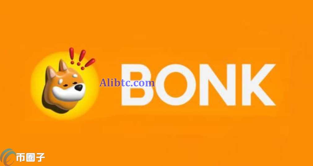 JUP币和BONK币哪个更有潜力？