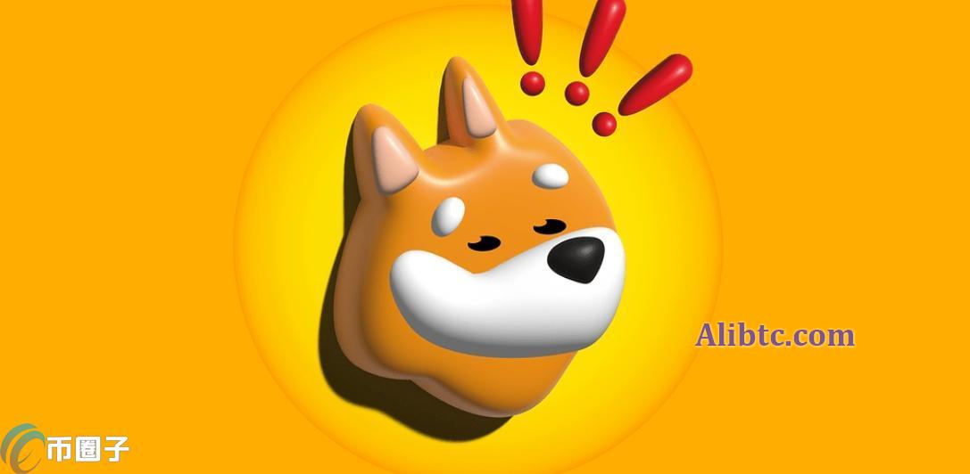 BONK币发行价多少钱？BONK币发行价格具体介绍