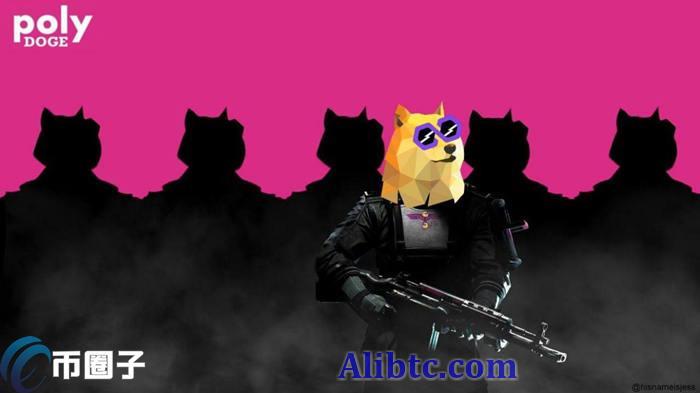 一文了解POLYDOGE币合约地址多少