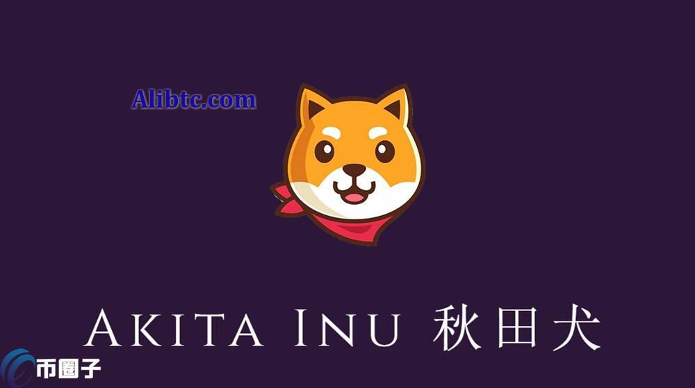 秋田犬币有前景吗？AKITA币是主流币吗？