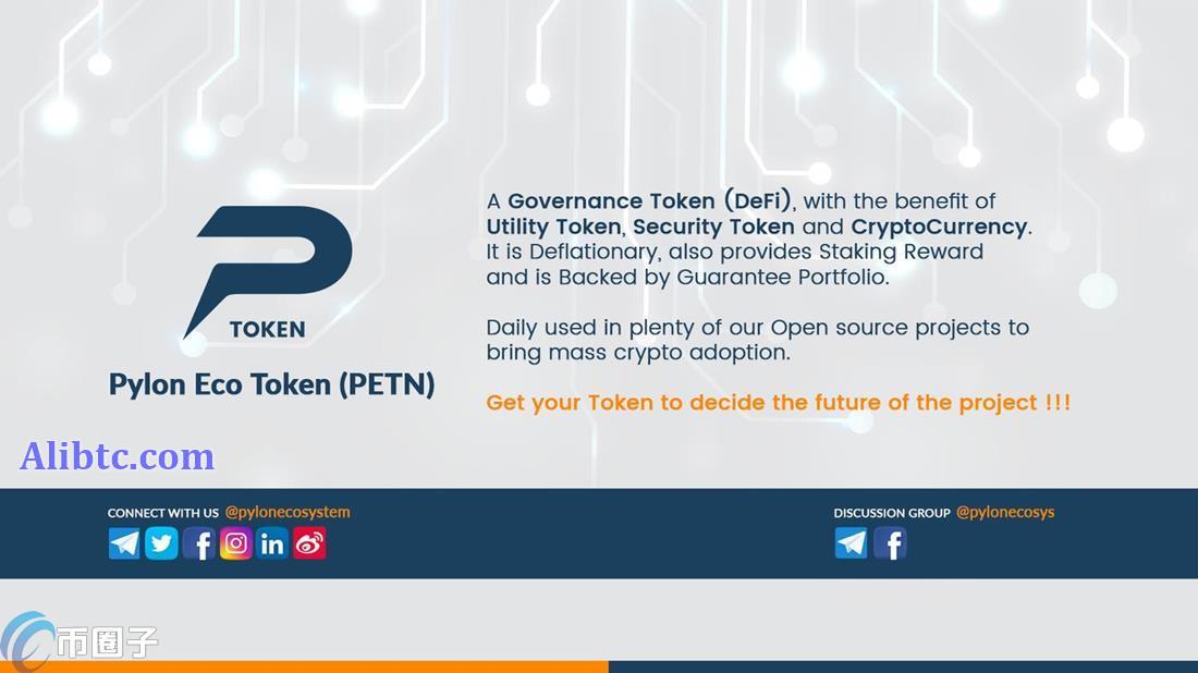 PETN是什么币种？一文了解PETN币