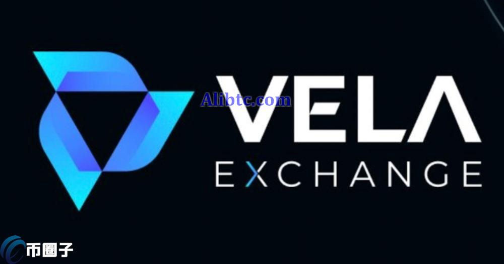 VELA币能涨起来吗？未来前景如何？