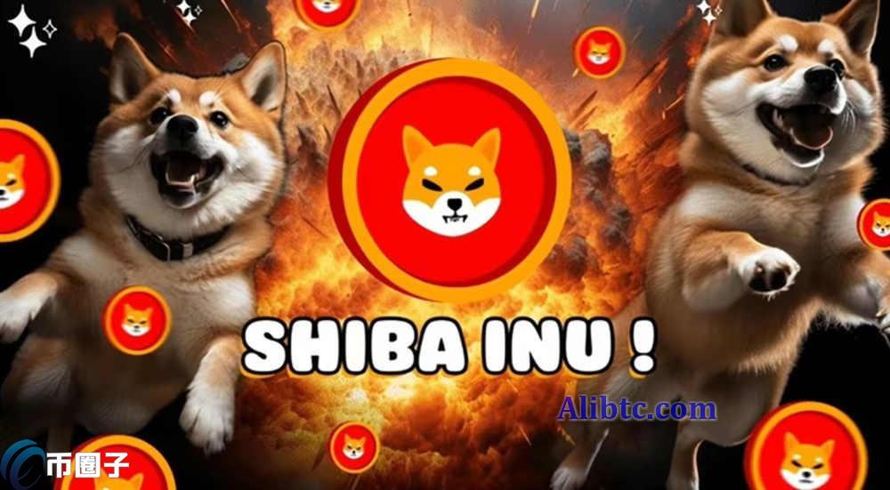 狗狗币和柴犬币哪个更有前景？