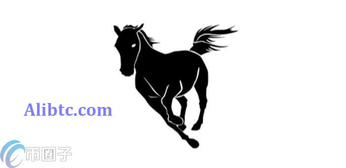 FMUSK是什么币种？一文了解FMUSK/黑马币