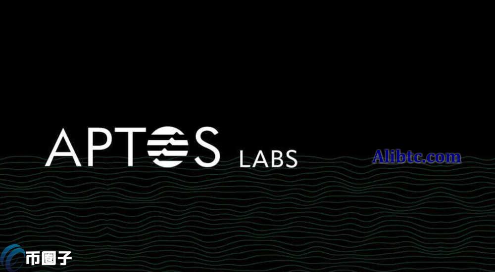 APT币有没有价值？能涨到100美金吗？