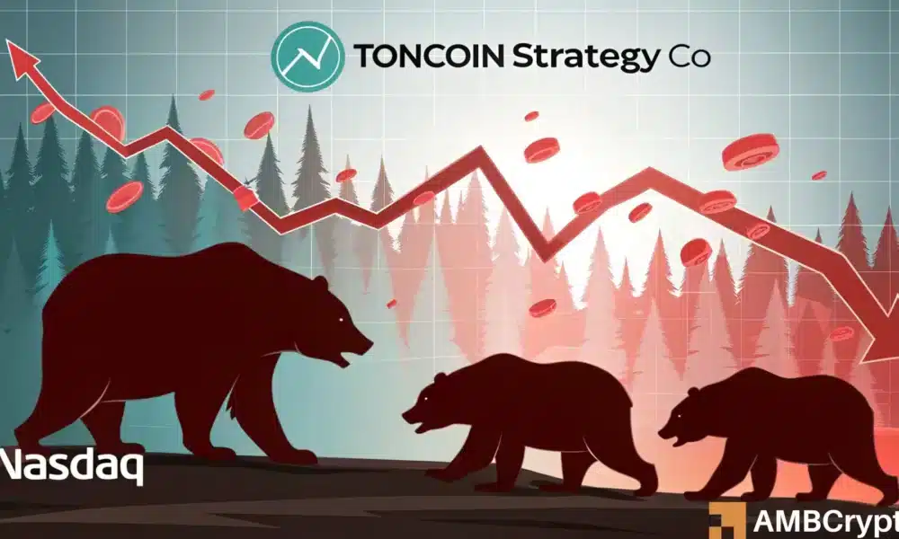 纳斯达克发出警告，Toncoin 股价下跌 10%——这才是真正的原因
