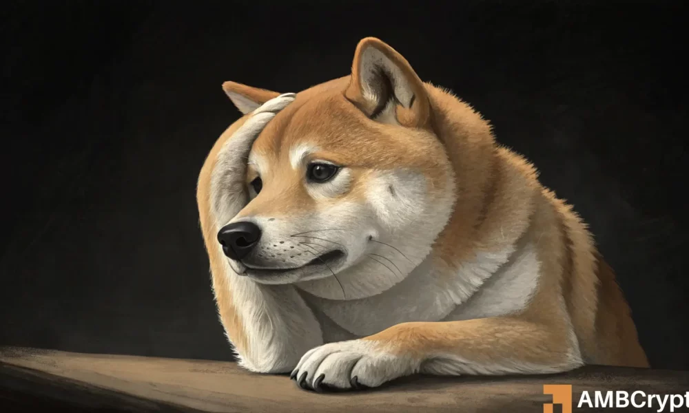 狗狗币——以下是其价格可能再次回调 20% 的原因