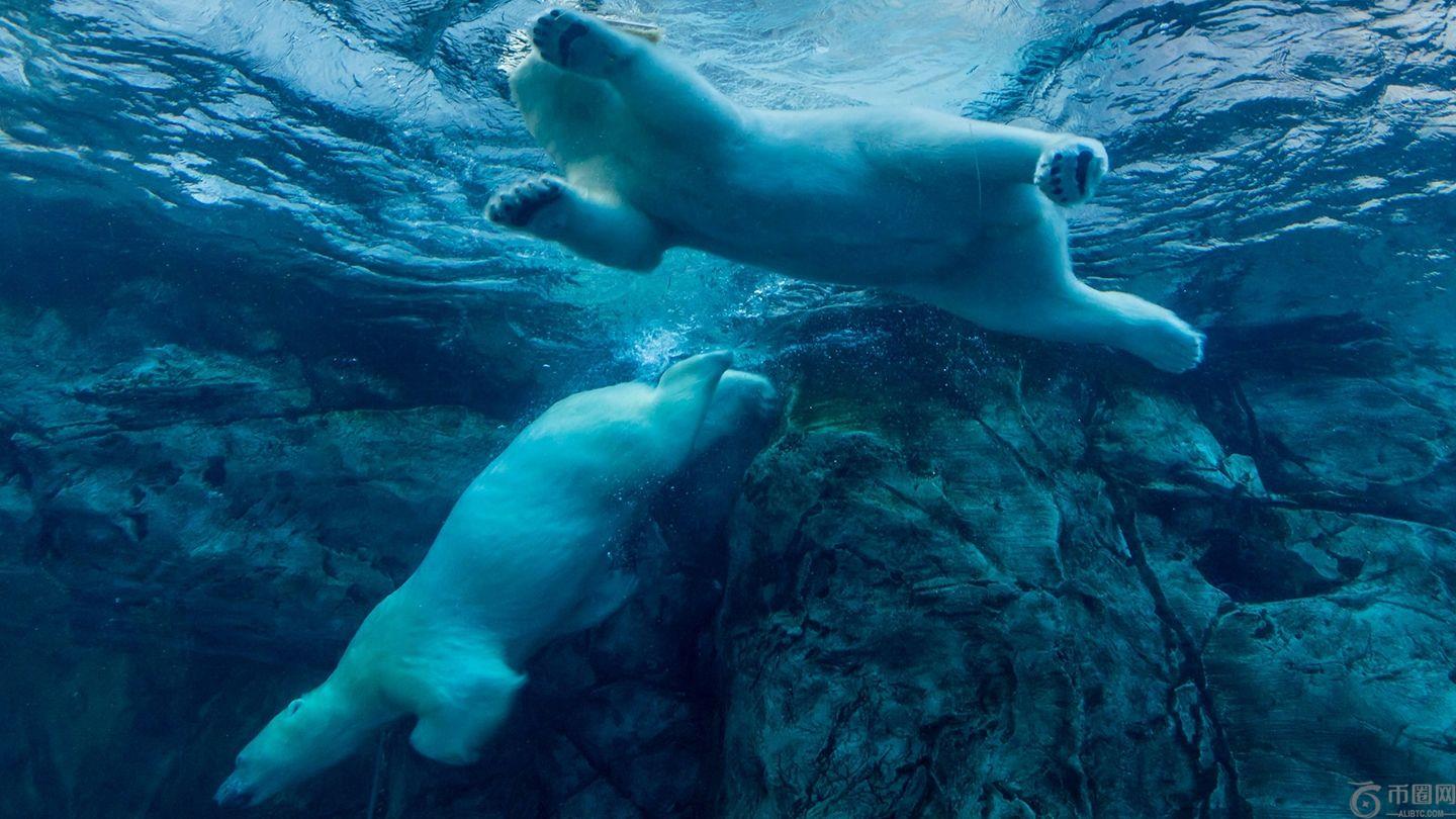 比特币早盘反弹失败，价格逼近10万美元大关