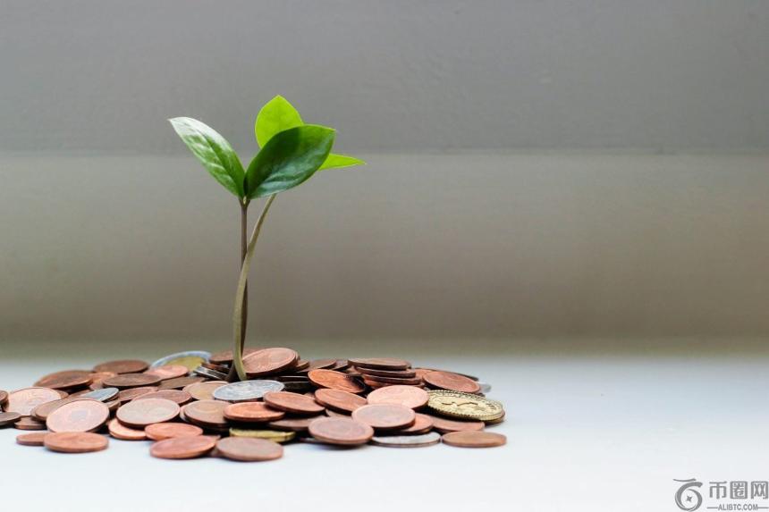 美国国税局推出加密货币纳税人支持计划，助力解决纳税难题