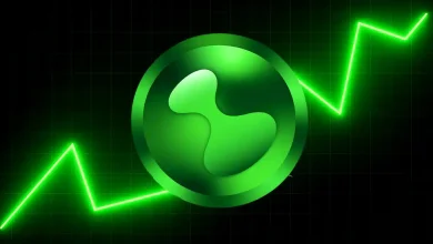 Hyperliquid (HYPE) 的下一步走势如何？突破历史新高还是即将反转？