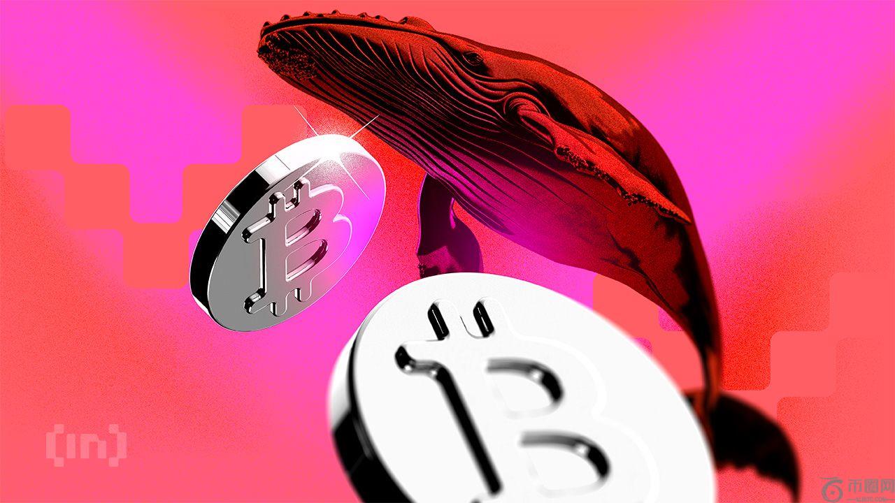 新晋比特币巨鲸控制了 45% 的比特币已实现市值——这为何是个问题？