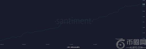 比特币“海豚”投资者加速买入，持有总量达516万枚